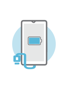 Reparar Conector de Carga Vivo Nex